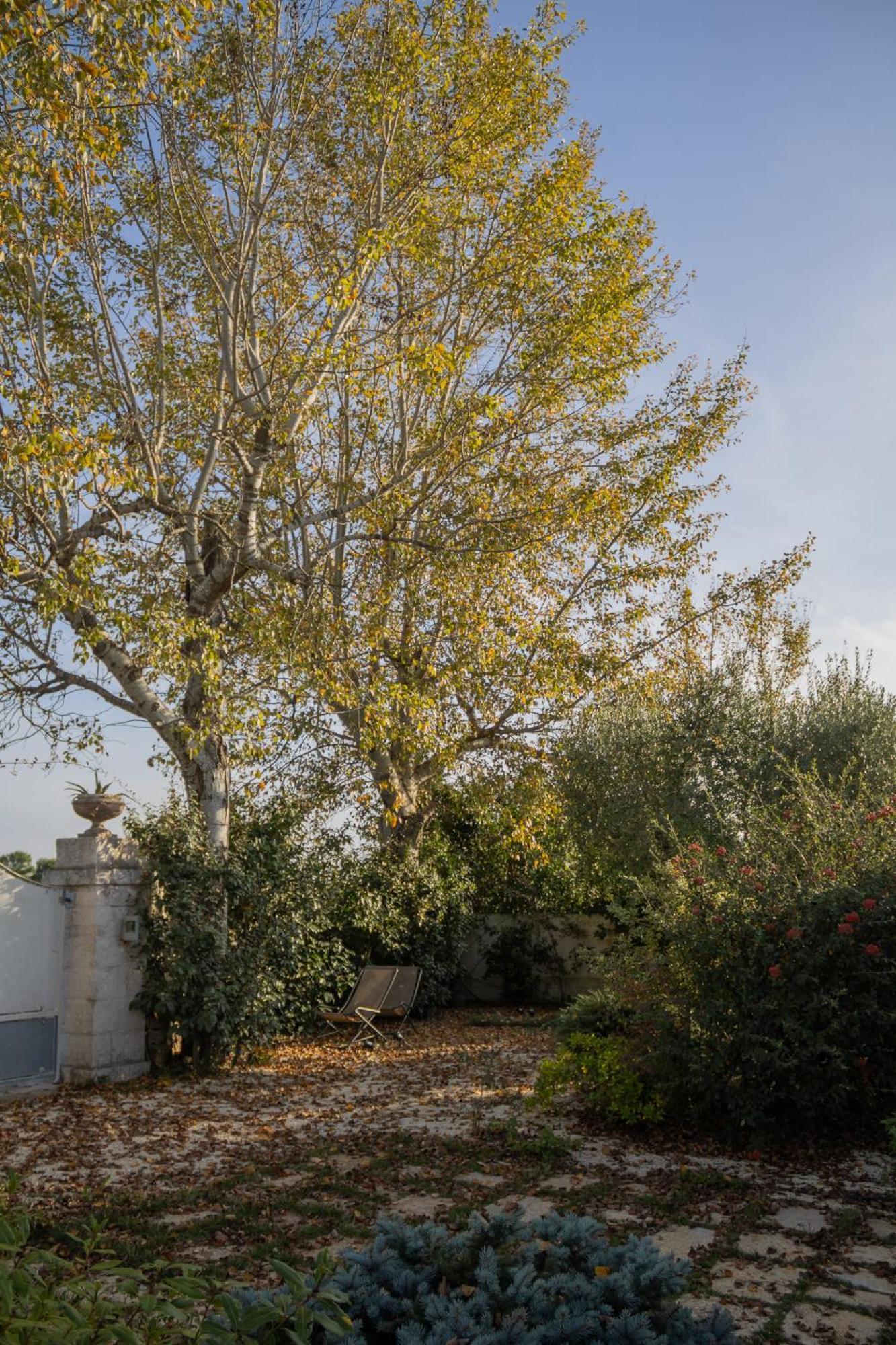 Villa Ada-Trulli Puglia Martina Franca Dış mekan fotoğraf