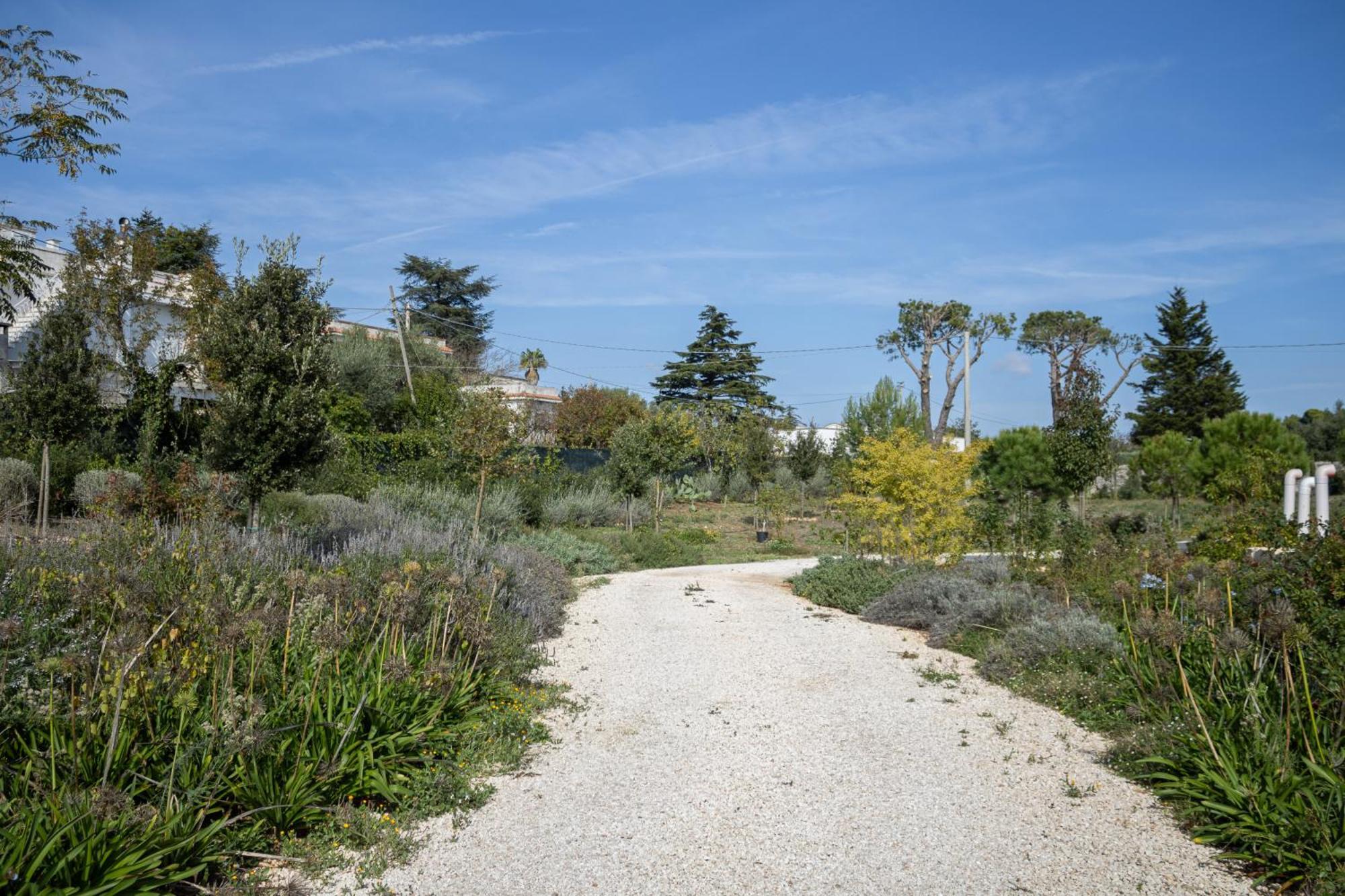 Villa Ada-Trulli Puglia Martina Franca Dış mekan fotoğraf