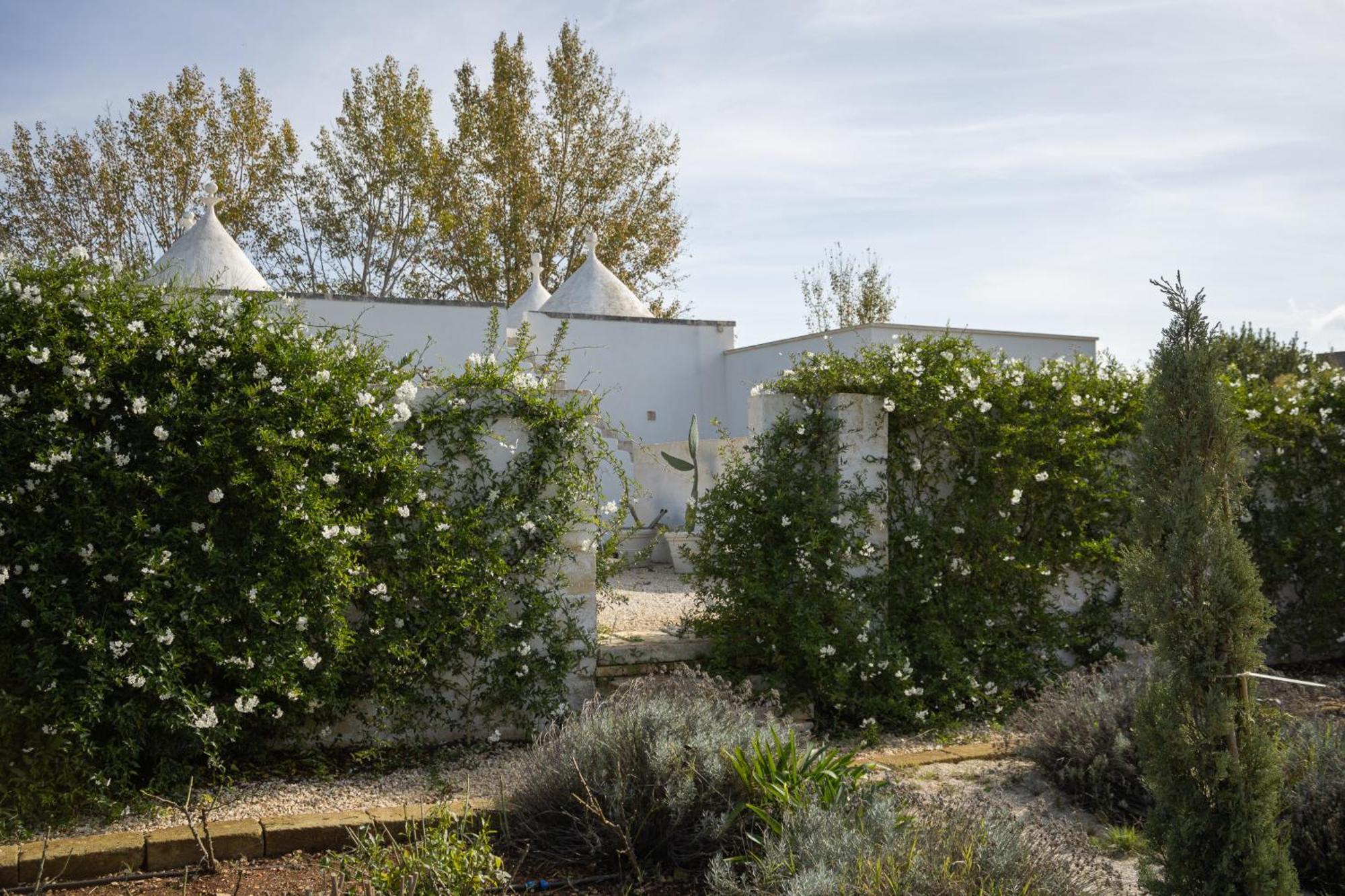 Villa Ada-Trulli Puglia Martina Franca Dış mekan fotoğraf
