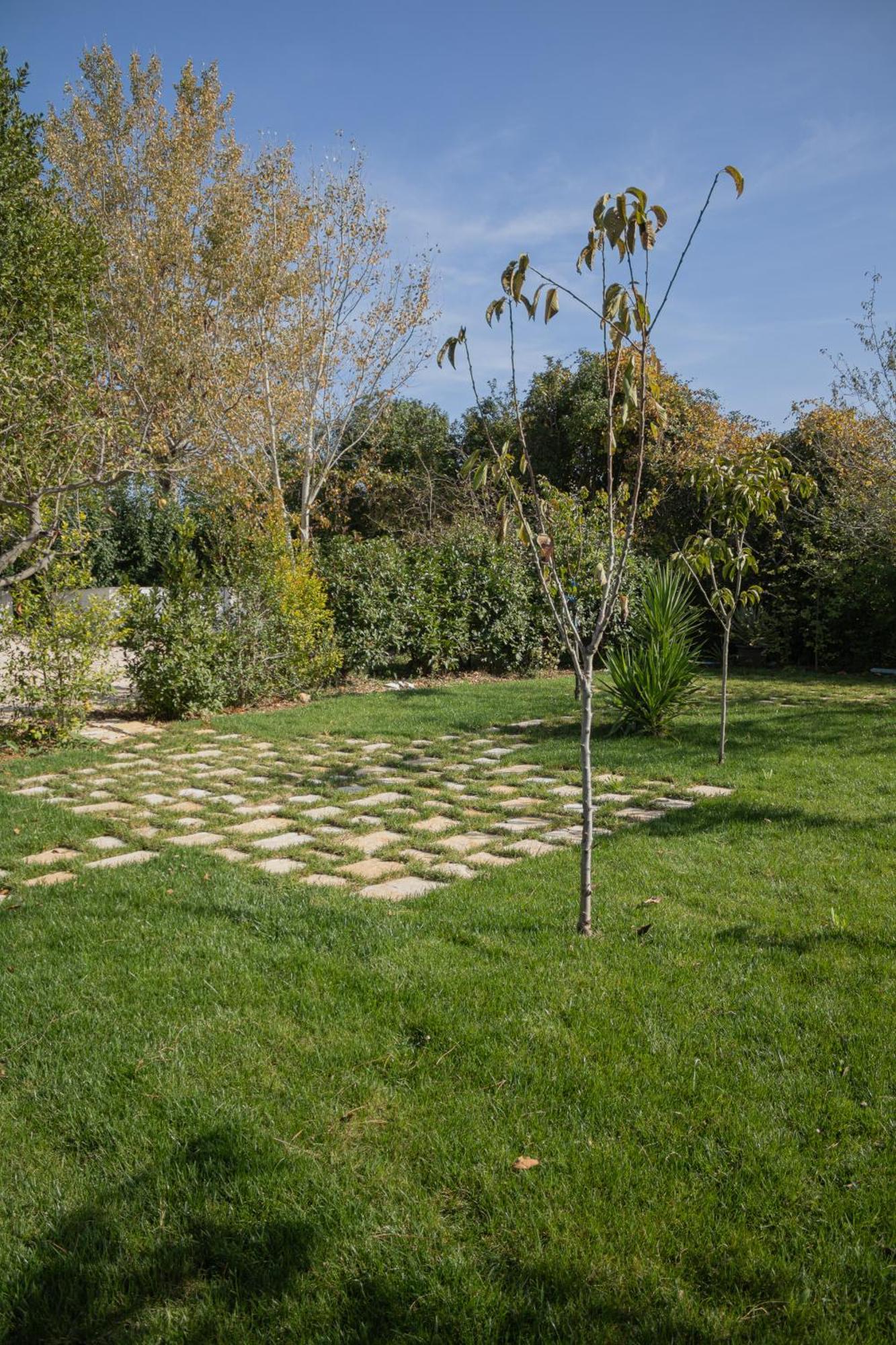 Villa Ada-Trulli Puglia Martina Franca Dış mekan fotoğraf