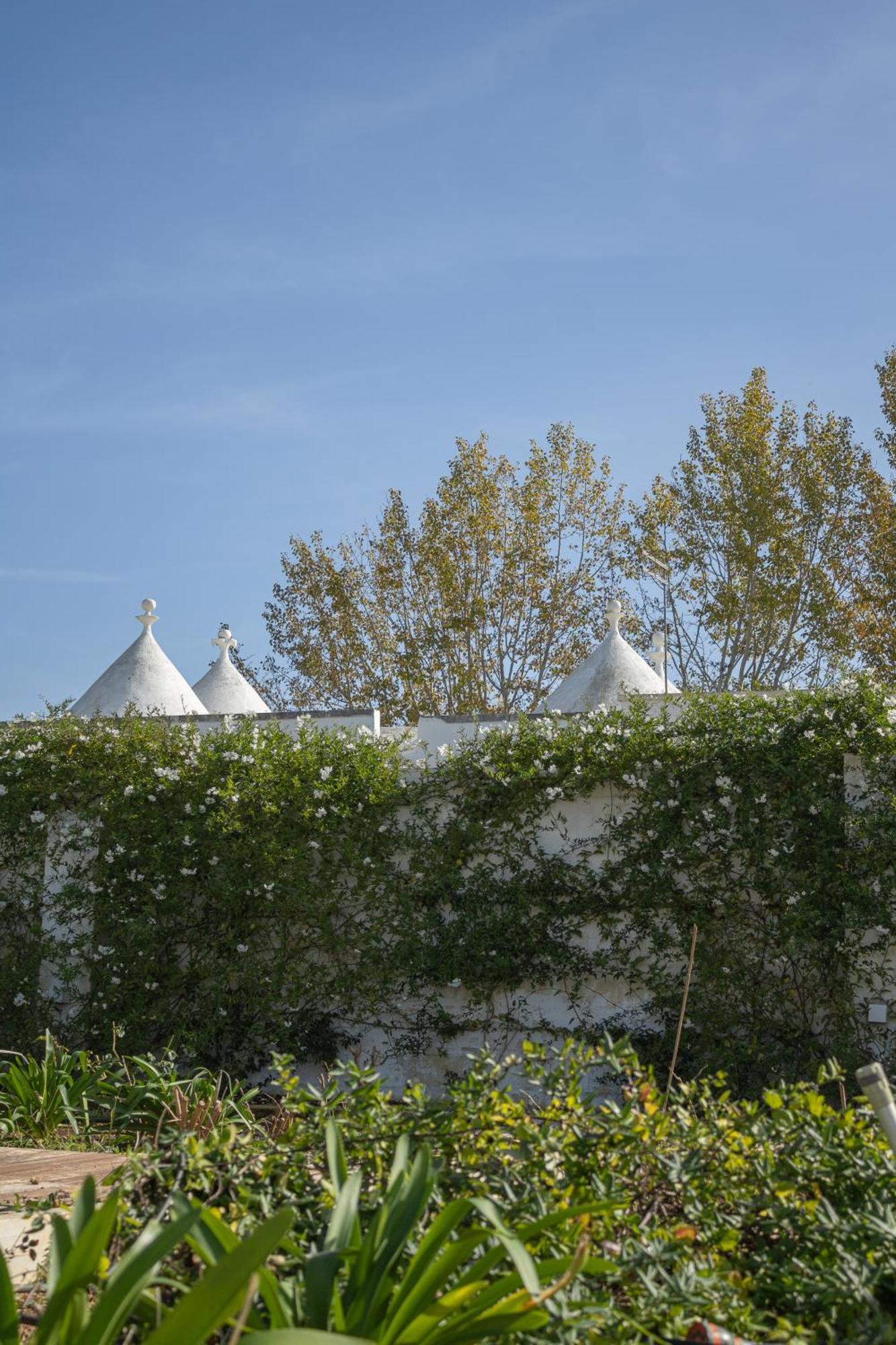 Villa Ada-Trulli Puglia Martina Franca Dış mekan fotoğraf